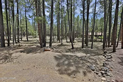 2682 Brahma Circle, Pinetop, AZ 85935 - Photo 1