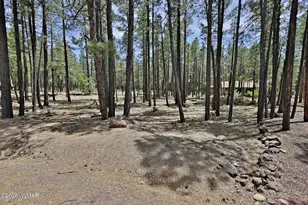 2682 Brahma Cir, Pinetop, AZ 85935 - Photo 1