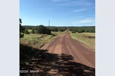 82 County Road 8230 Road, Concho, AZ 85924 - Photo 1
