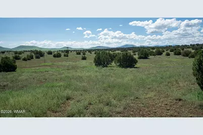 149 Cr 3000, Concho, AZ 85924 - Photo 9