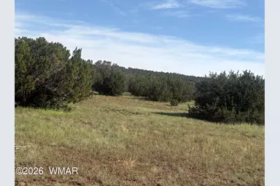 80 County Road, Concho, AZ 85924 - Photo 3