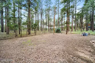 5533 Deer Run, Pinedale, AZ 85934 - Photo 39