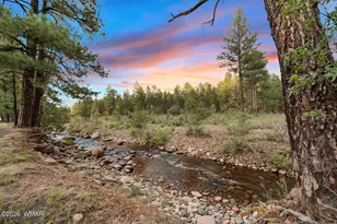 5533 Deer Run, Pinedale, AZ 85934 - Photo 7
