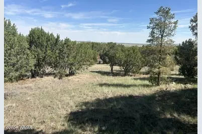 1862 W Snowline Drive, Eagar, AZ 85925 - Photo 19