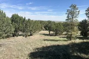 1862 W Snowline Dr, Eagar, AZ 85925 - Photo 19