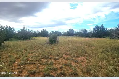 5075 Sidlyn Road, Heber, AZ 85928 - Photo 9