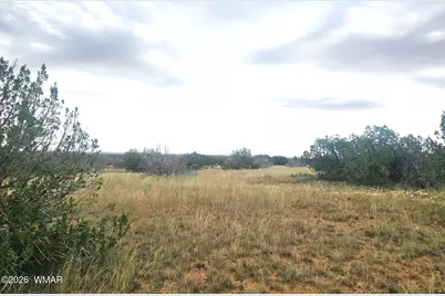 5075 Sidlyn Road, Heber, AZ 85928 - Photo 3