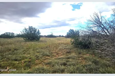 5075 Sidlyn Road, Heber, AZ 85928 - Photo 7