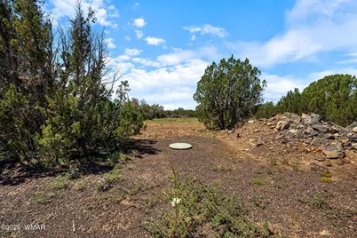 9104 Gample Lane, Show Low, AZ 85901 - Photo 25