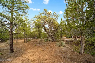 4401 W Shaggy Bark Road, Show Low, AZ 85901 - Photo 21