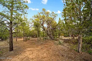 4401 W Shaggy Bark Rd, Show Low, AZ 85901 - Photo 21