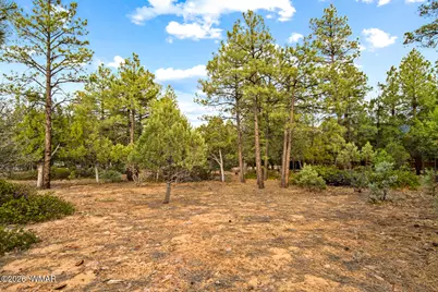 4401 W Shaggy Bark Road, Show Low, AZ 85901 - Photo 23