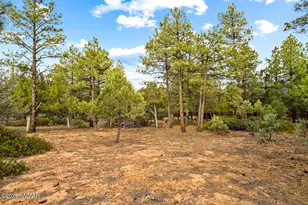 4401 W Shaggy Bark Rd, Show Low, AZ 85901 - Photo 23