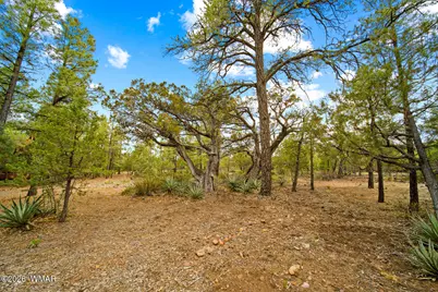 4401 W Shaggy Bark Road, Show Low, AZ 85901 - Photo 19