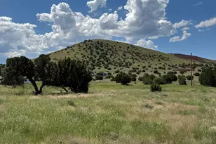 31 County Road 5203 Unit 31, Concho, AZ 85924 - Photo 1