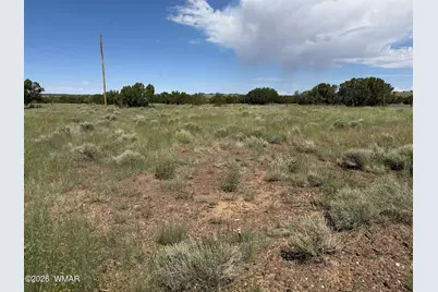 31 County Road 5203, Unit 31 #31, Concho, AZ 85924 - Photo 5
