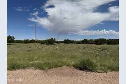 31 County Road 5203, Unit 31 #31, Concho, AZ 85924 - Photo 3