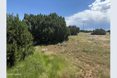 20 County Road 5203, Concho, AZ 85924 - Photo 3