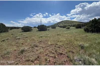 103 Cr 5202, Concho, AZ 85924 - Photo 3