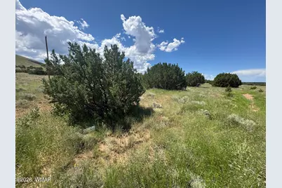 103 Cr 5202, Concho, AZ 85924 - Photo 1