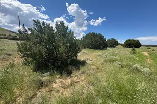 103 Cr 5202, Concho, AZ 85924 - Photo 1