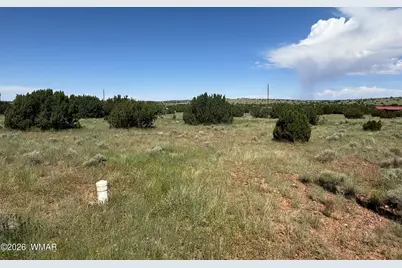 103 Cr 5202, Concho, AZ 85924 - Photo 5