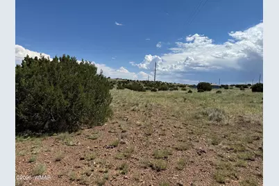 119 County Road 5106, Concho, AZ 85924 - Photo 5