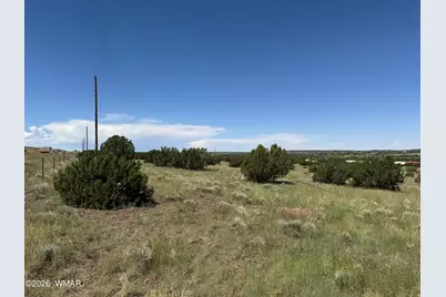 168 Cr 5201, Concho, AZ 85924 - Photo 5