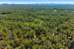 3606 Aspen Ln, Pinetop, AZ 85935 - Photo 41