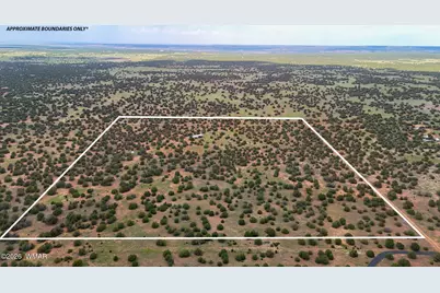 0 E Gample Ln. 39 Acres, Show Low, AZ 85901 - Photo 3