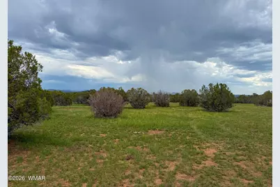 0 E Gample Ln. 39 Acres, Show Low, AZ 85901 - Photo 13