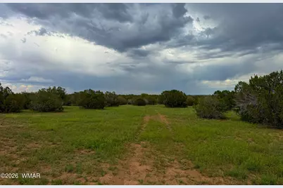 0 E Gample Ln. 39 Acres, Show Low, AZ 85901 - Photo 9