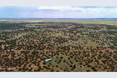 0 E Gample Ln. 39 Acres, Show Low, AZ 85901 - Photo 15