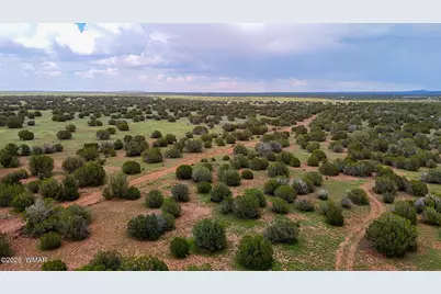 0 E Gample Ln. 39 Acres, Show Low, AZ 85901 - Photo 7