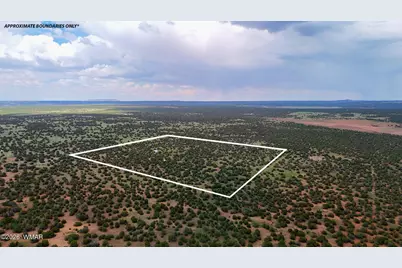 0 E Gample Ln. 39 Acres, Show Low, AZ 85901 - Photo 1