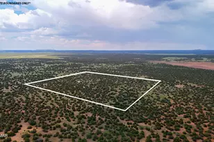 0 E Gample Ln 39 Acres, Show Low, AZ 85901 - Photo 1