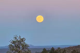 6266 Bull Elk Run, Show Low, AZ 85901 - Photo 43