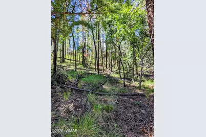 6 County Road 2073, Alpine, AZ 85920 - Photo 9