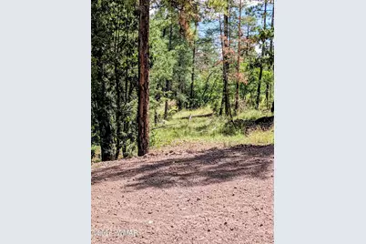 6 County Road 2073, Alpine, AZ 85920 - Photo 11