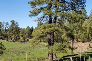 1501 E Stock St, Show Low, AZ 85901 - Photo 19