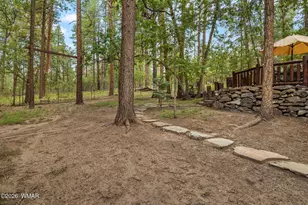 12 County Road 2070, Alpine, AZ 85920 - Photo 51