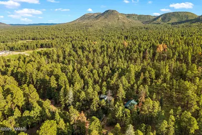 12 County Road 2070, Alpine, AZ 85920 - Photo 57