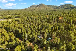 12 County Road 2070, Alpine, AZ 85920 - Photo 57