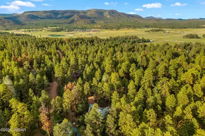 12 County Road 2070, Alpine, AZ 85920 - Photo 59