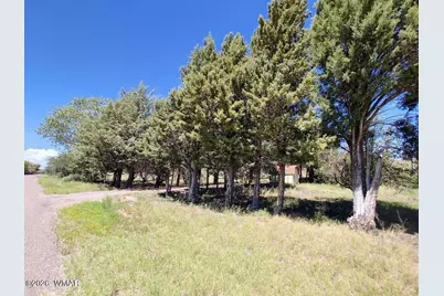 5292 W Cottonwood Drive, Taylor, AZ 85939 - Photo 3