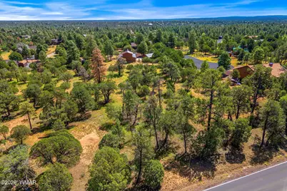 2864 Buck Circle, Overgaard, AZ 85933 - Photo 15
