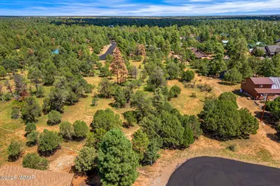 2864 Buck Circle, Overgaard, AZ 85933 - Photo 3