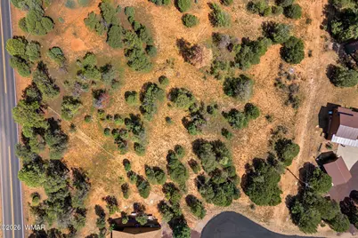 2864 Buck Circle, Overgaard, AZ 85933 - Photo 5