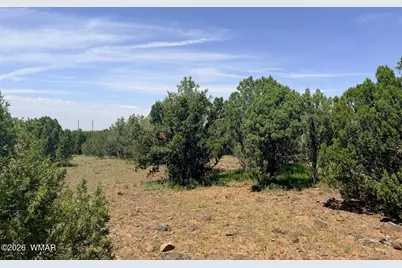 8564 Pine Lane, Show Low, AZ 85901 - Photo 3