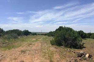 8564 Pine Ln, Show Low, AZ 85901 - Photo 1